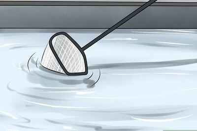 How to Maintain Your Swimming Pool