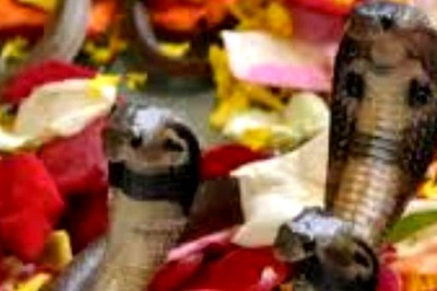 Nag Panchami 2024: Date, Rituals And Significance