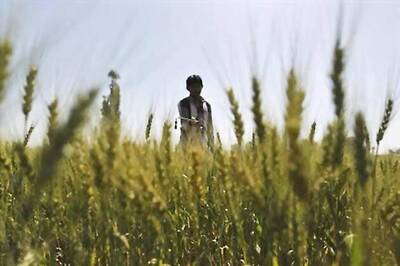 Centre will give farmers power, seeds subsidy if monsoon fails