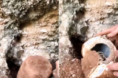 Watch: Man Digs Unique Stone, Breaks It To Find Gold Chains And Coins