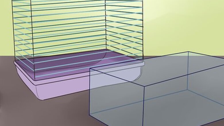 How to Choose Hamster Housing and Bedding