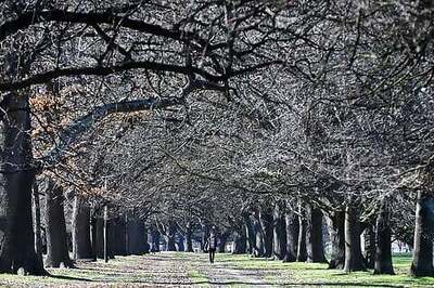 New Zealand marks 100 days of virus elimination