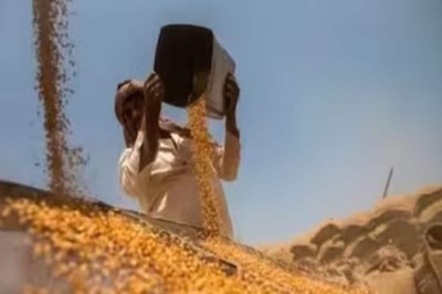 Govt Weighs Interventions to Stabilise Rising Wheat Prices