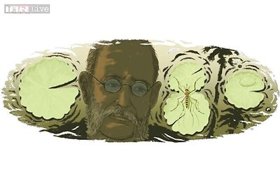 Who was Carlos Juan Finlay?