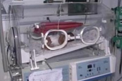 Premature babies respond to hammock-therapy