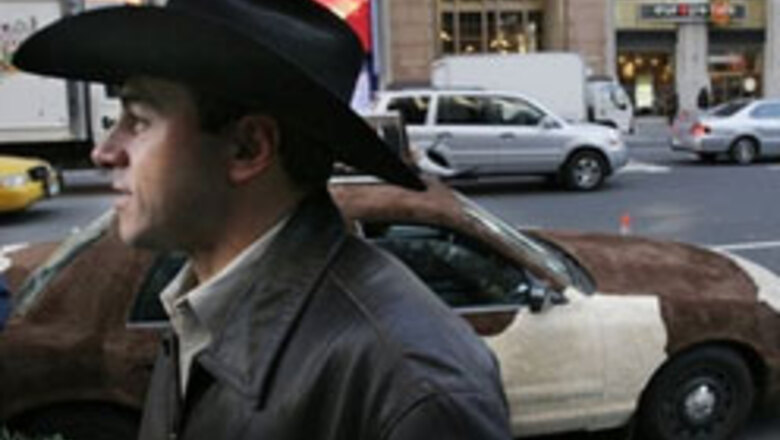 No Bull: take the taxi by the horn