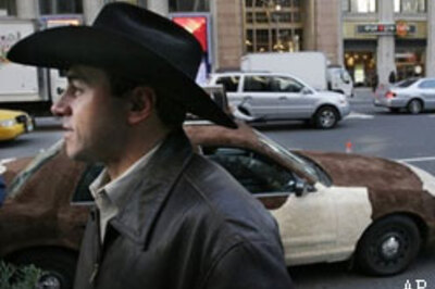 No Bull: take the taxi by the horn