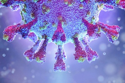 'Driver of a Third Covid Wave Will Be Human Behaviour More than That of the Virus': Dr Kang