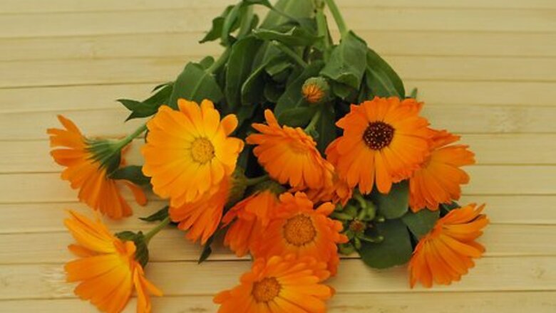 How to Dry Edible Flowers