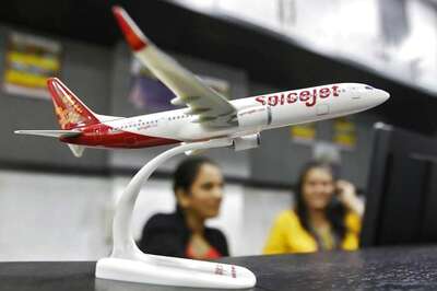Not Just Delhi, Spicejet Will Offer Free Tickets to Everyone Travelling to Hometown for Voting