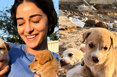 Ananya Panday Leaves Fans Gushing With Cute Pics With Puppies; Take a Look