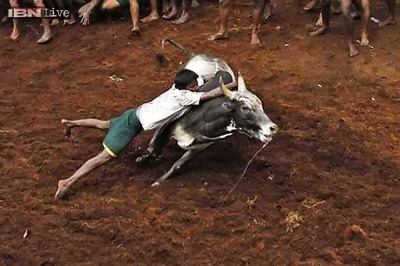 Karunanidhi writes to TN government against SC ban on Jallikattu