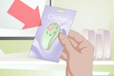 How to Teach Your Cat to Give a Handshake