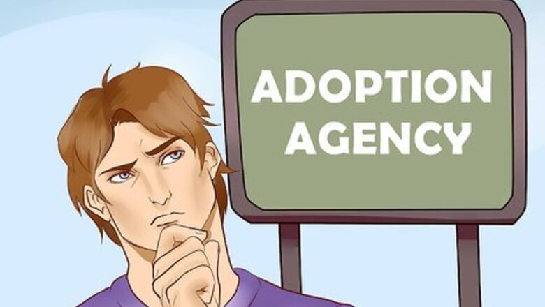 How to Adopt a Herding Dog