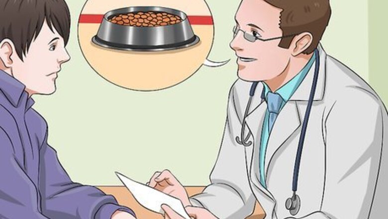 How to Prepare a Healthy Meal for Your Pet Dog