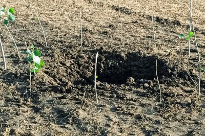 Exclusive | Meteorite Myth Busted? RDX Traces Found at Site of April 24 Blast Near PM's Jammu Rally Venue