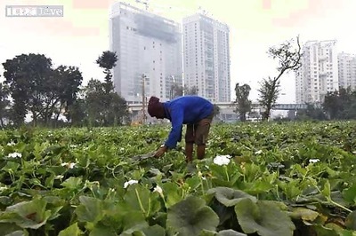 Trick or treat? India's strong GDP figures mask economic reality