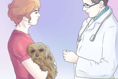 How to Remove Ear Mites from a Dog