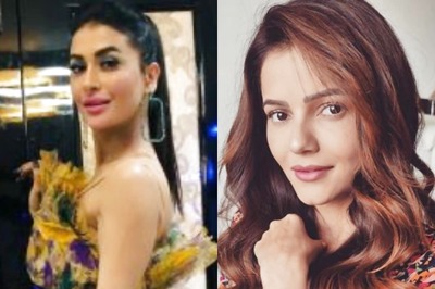 Actors Who Returned to Their Original Shows After Participating in Bigg Boss