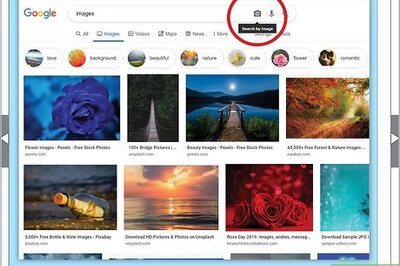 How to Spot a Catfish