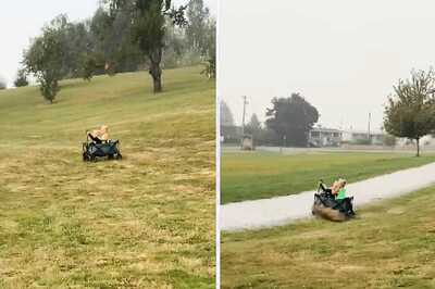 ‘Mom Wasn’t Around’: Kids’ Epic Downhill Trolley Ride Ends In Hilarious Disaster, While Dad Laughs