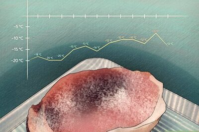 How to Prevent Freezer Burn