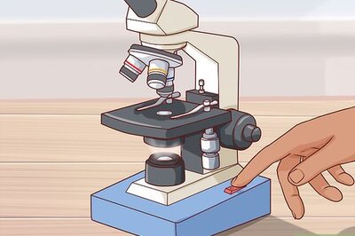 How to Focus a Microscope