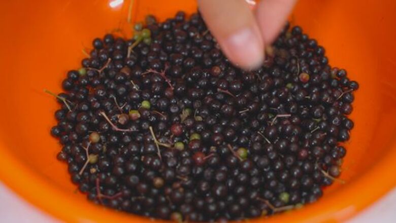 How to Dry Elderberries in the Oven