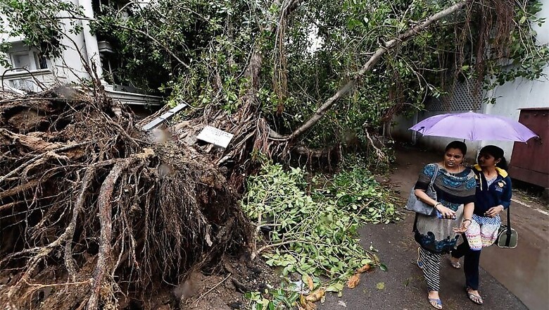 Cyclone Vardah: How Chennai Was Prepared This Time