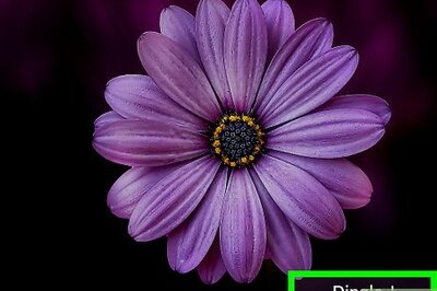 How to Cite Google Images