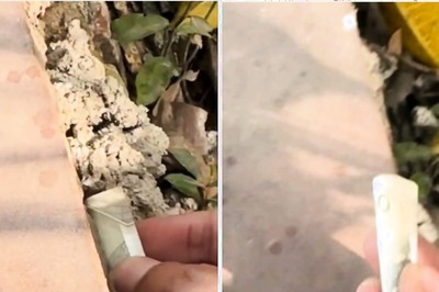 Real-life Treasure Hunt? This Insta Account Hides Rs 500 Notes In Spots Across Delhi