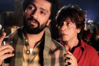 Vicky Kaushal Recalls How He Got A Cameo Role In Shah Rukh Khan Starrer Dunki: ‘I Told Raju Sir…’