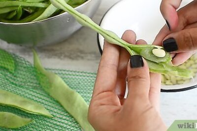 How to Freeze Broad Beans