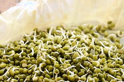 Health Benefits of Moong Sprouts