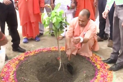 ‘Green Mass Movement’: CM Yogi Orders UP Govt to Launch Mega Plantation Drive from July 1