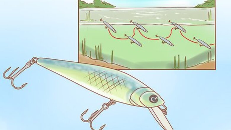 How to Fish a Jerkbait