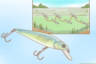 How to Fish a Jerkbait