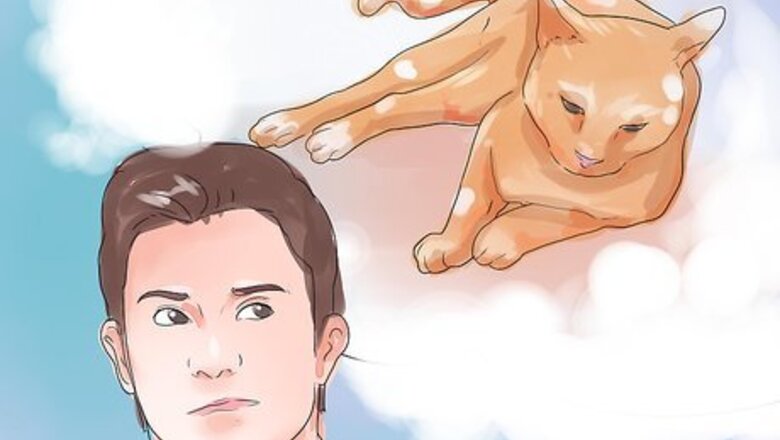 How to Recognize Feline Heart Disease