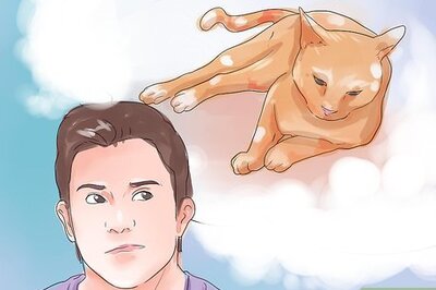 How to Recognize Feline Heart Disease