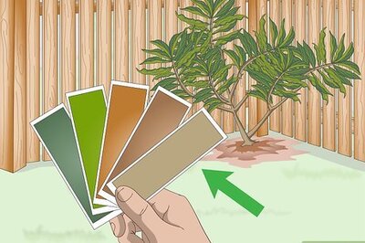 How to Camouflage Paint