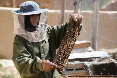Afghan Schoolgirl Turns Honey Into Money at Double the Per Capita in War-torn Country