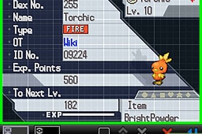 How to Build a Perfect Pokémon