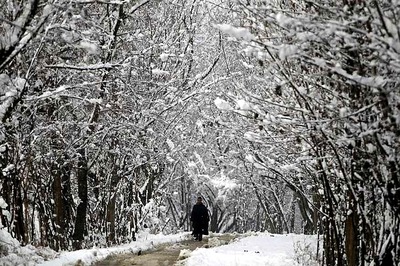 Shimla Gets Season's First Snowfall, Rain Lashes Other Parts of Himachal Pradesh
