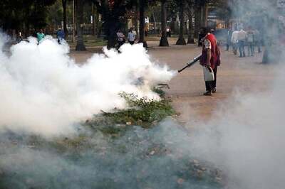 Jammu Municipal Corporation to Launch Campaign in Jammu to Fight Dengue, Malaria