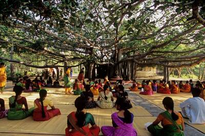 Kalakshetra Foundation Row: Can Chennai's Famed Dance Academy Weather Sexual Harassment Storm?