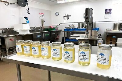 Cultural 'Big Deal': Seal Oil Makes Menu At Alaska Care Home