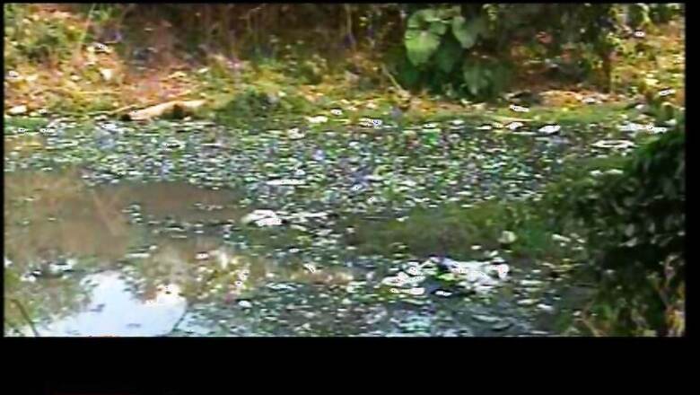 90% of lakes surveyed in Bengaluru polluted, filled with muck