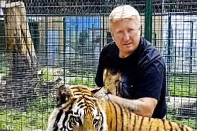 In Europe, Man's Private Zoo Turns Into His Graveyard As Lions Eat Him