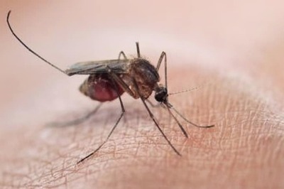 World Malaria Day: What is the 'Landmark' Vaccine Rolled out by Malawai