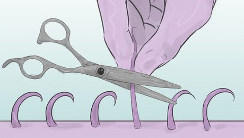 How to Shave Your Pubic Hair